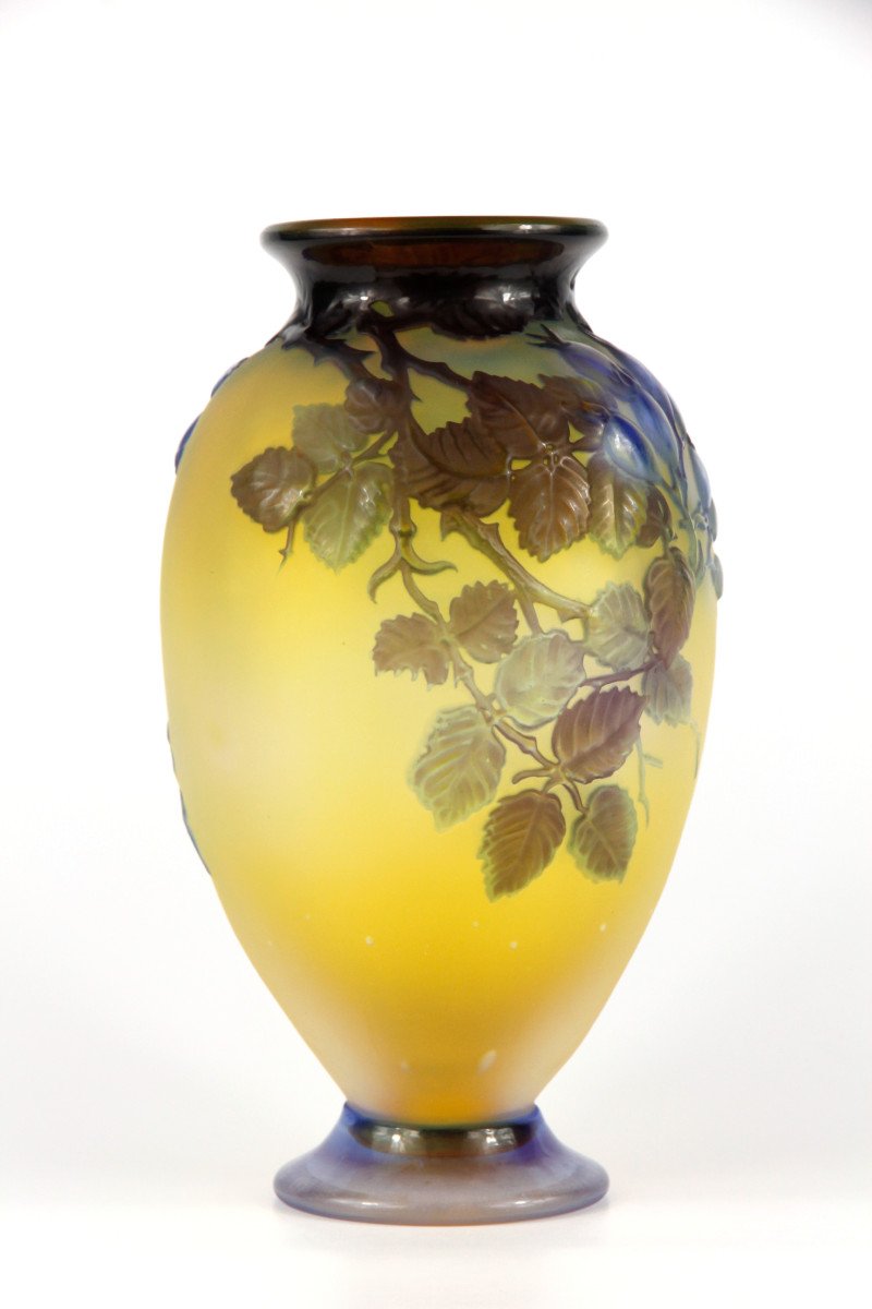 Vase Gallé (églantier en relief)-photo-3