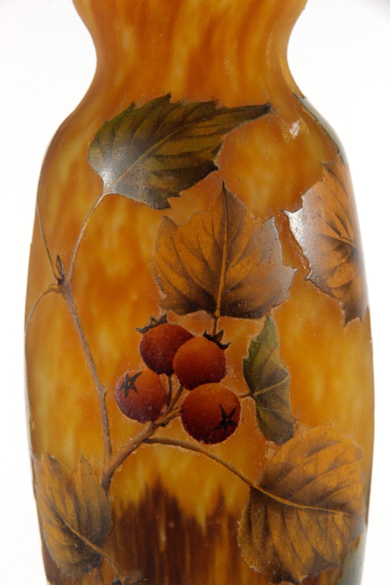 Vase Daum Nancy (aubépine)-photo-6