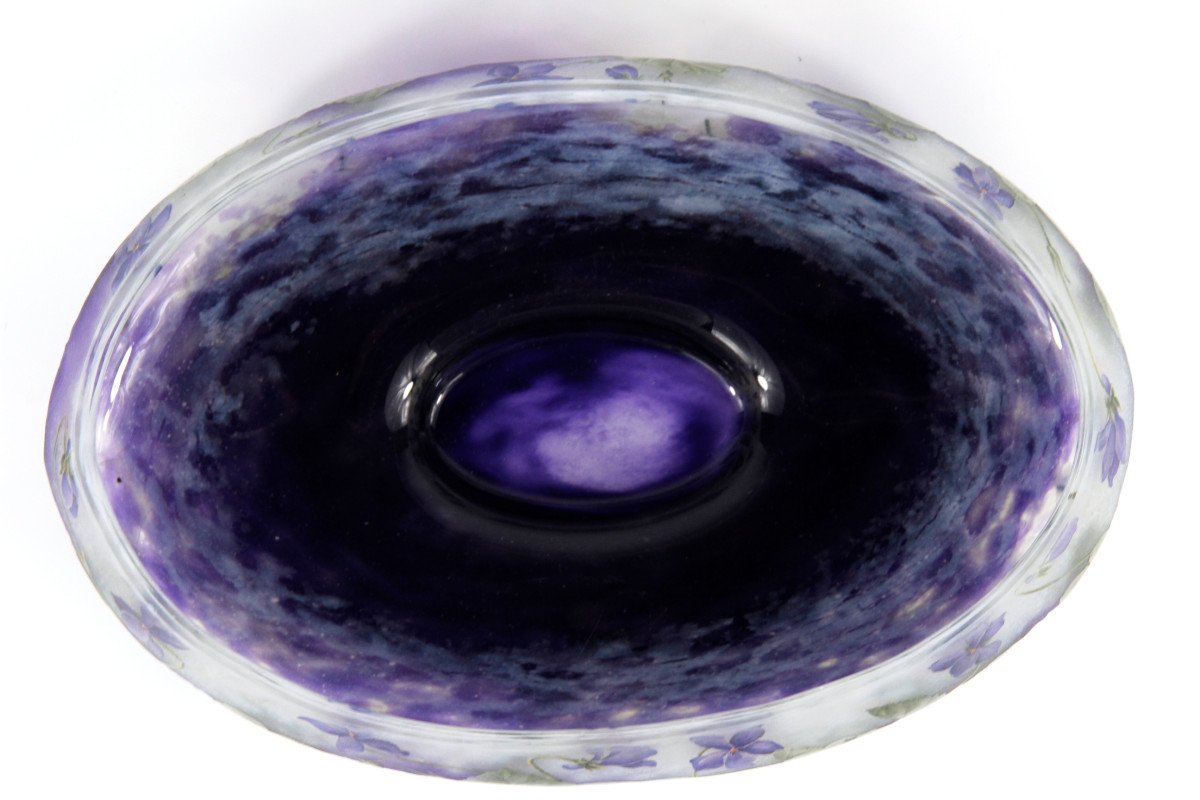 Coupe Daum Nancy (violettes)-photo-2