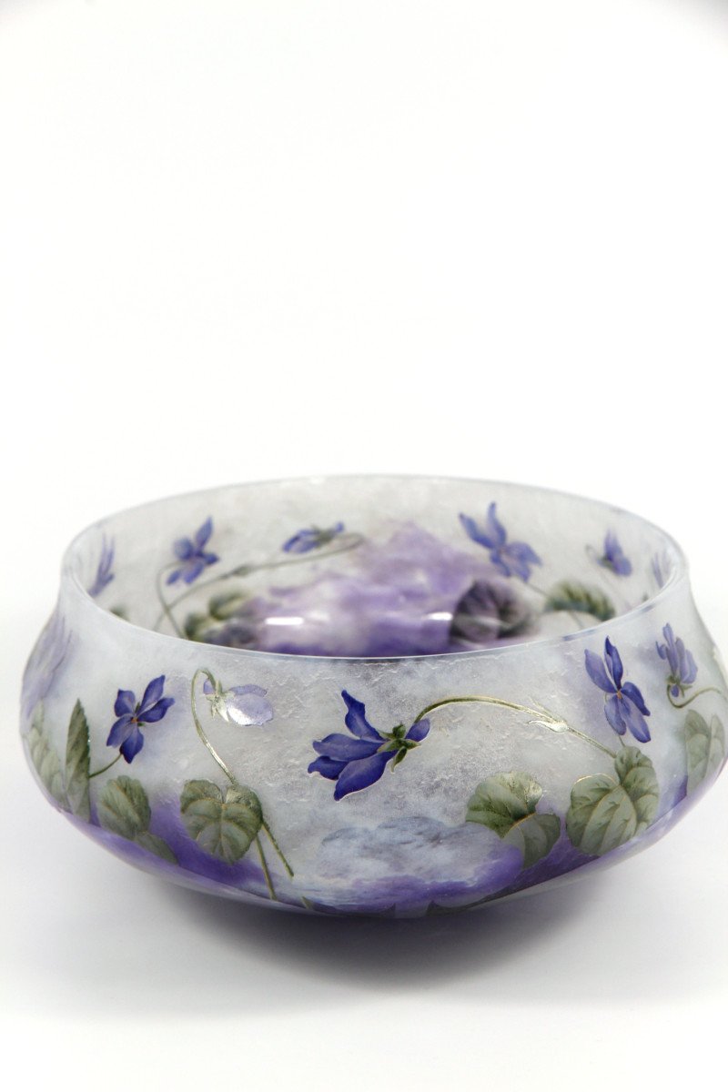 Coupe Daum Nancy (violettes)-photo-5