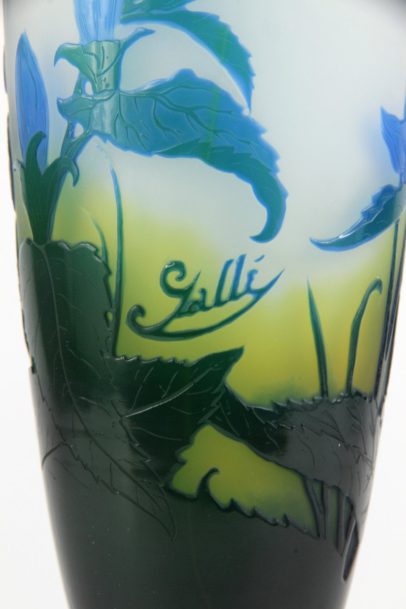 Vase Gallé (campanules)-photo-4