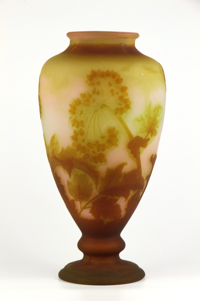 Gallé Vase (umbellifer)-photo-1