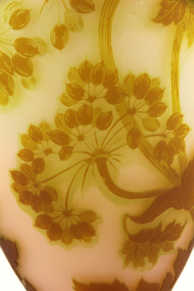 Gallé Vase (umbellifer)-photo-5