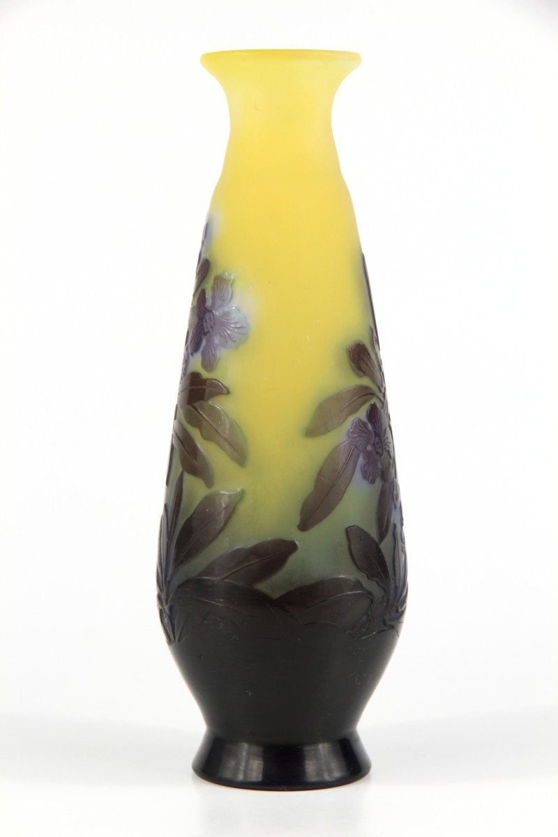 Vase Gallé (primevères)-photo-1