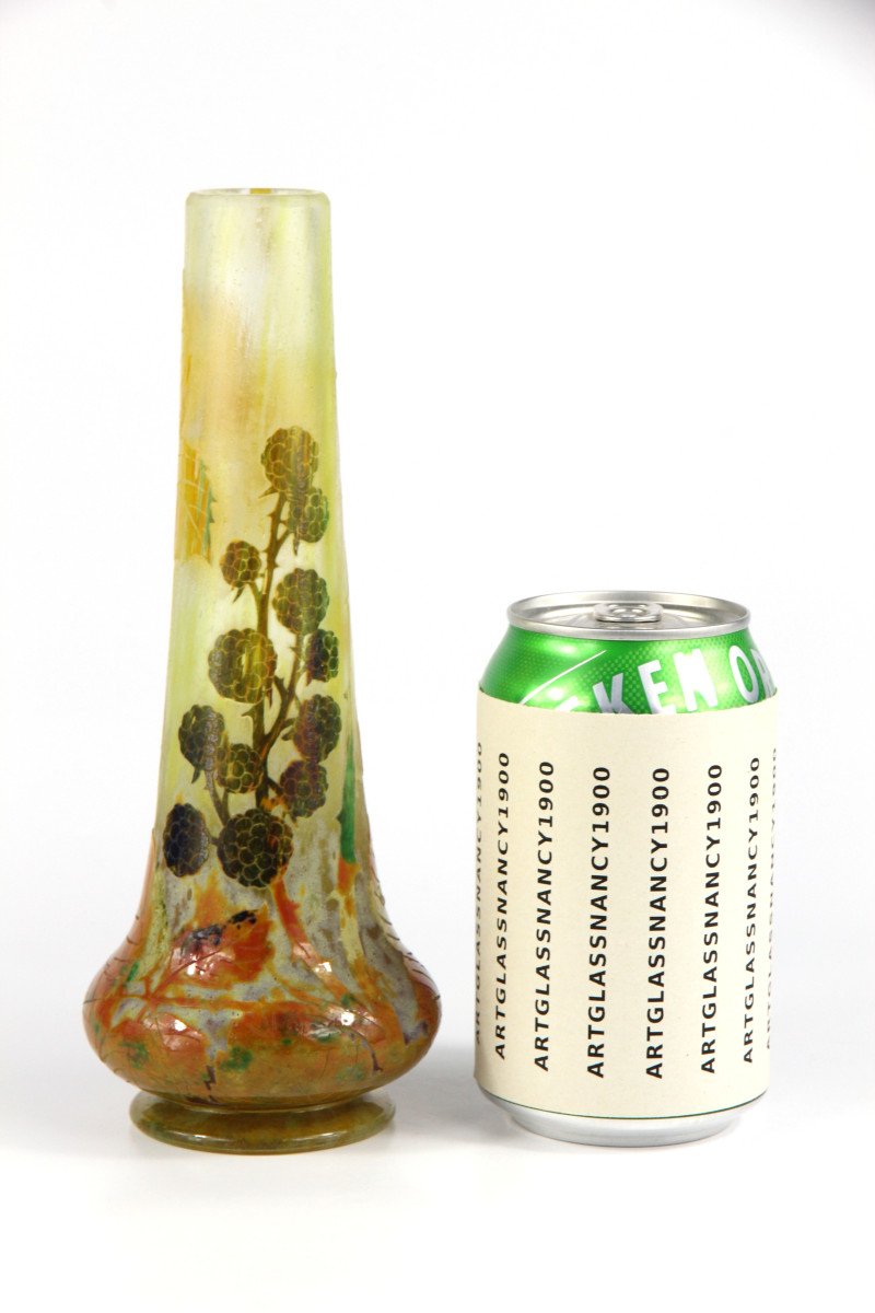 Vase Daum Nancy (mûres)-photo-2
