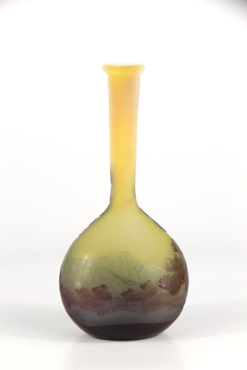 Vase Gallé (vosges)-photo-2