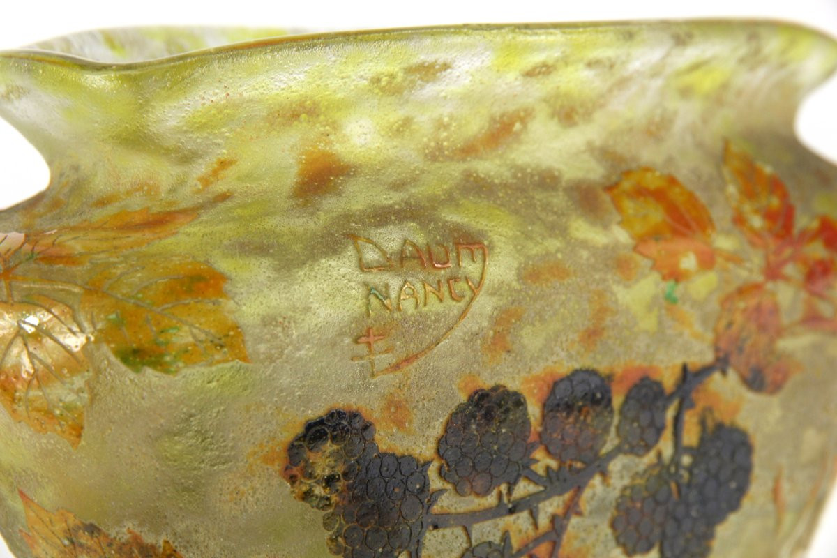 Vase Daum Nancy (mûres)-photo-4