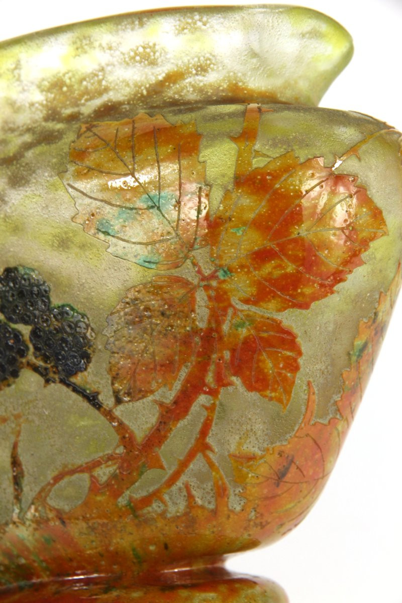 Vase Daum Nancy (mûres)-photo-7