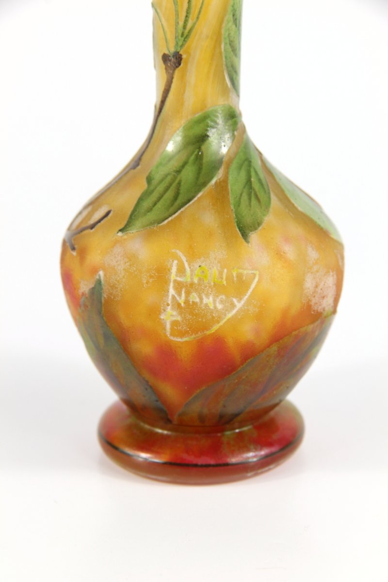 Vase Daum Nancy (pommier)-photo-3