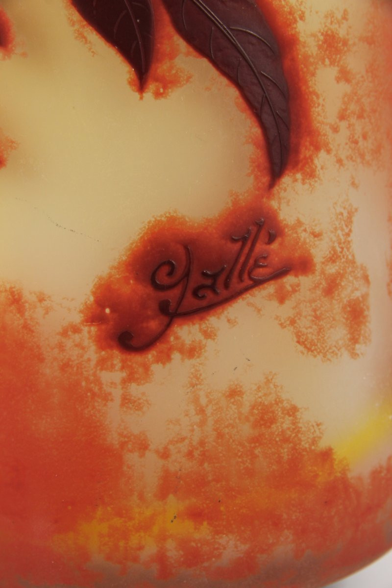 Vase Gallé (sorbier)-photo-3