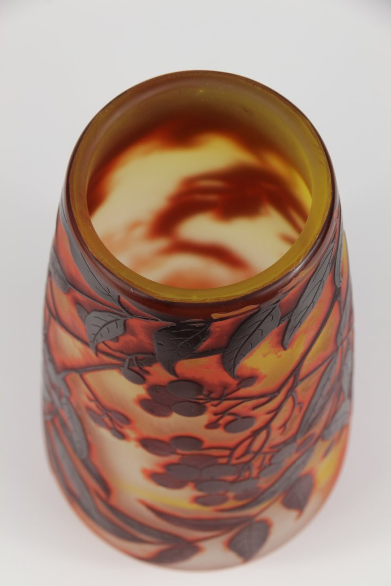 Vase Gallé (sorbier)-photo-4