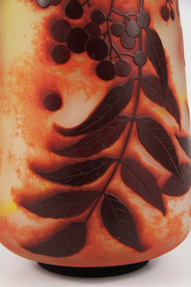 Vase Gallé (sorbier)-photo-8