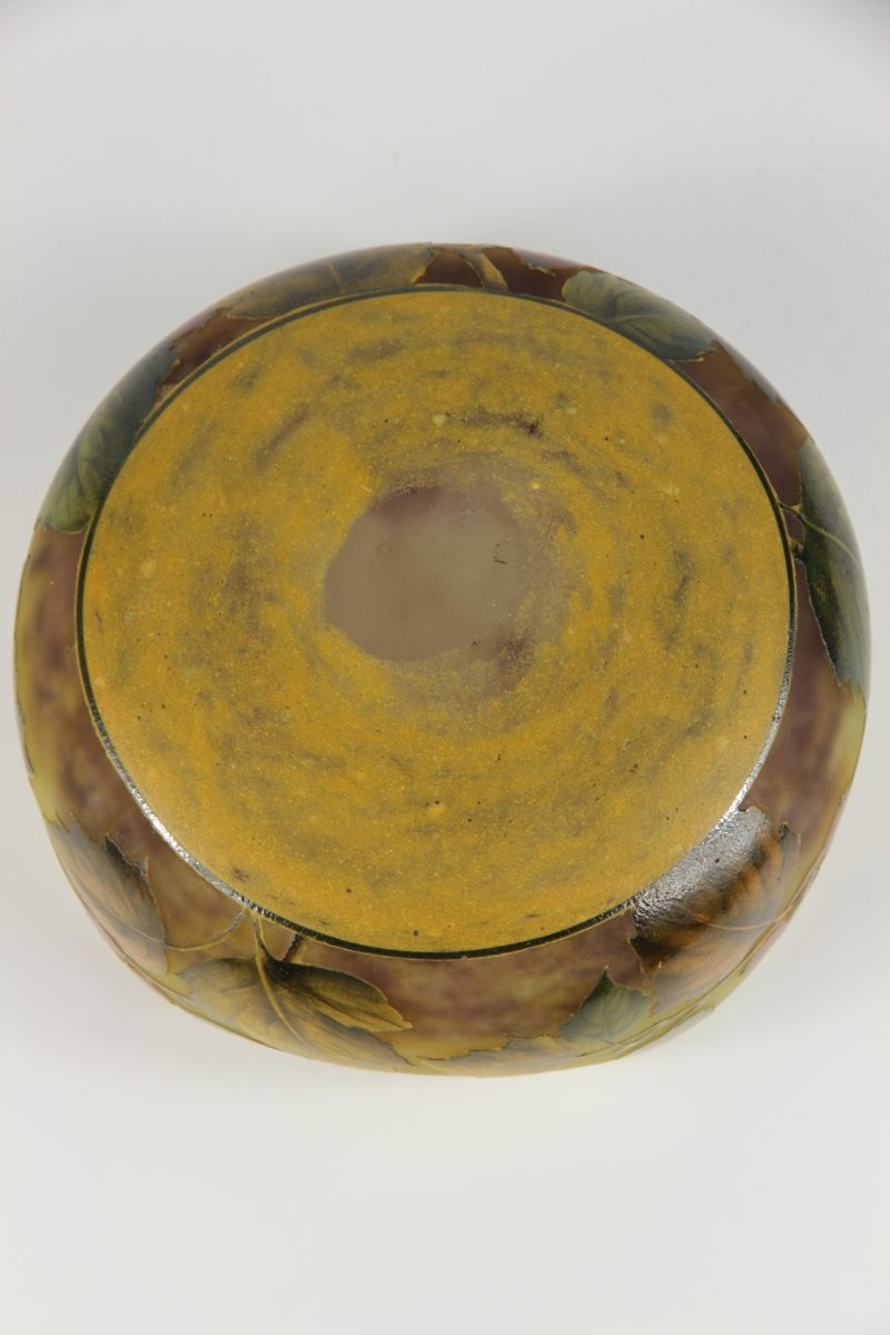 Coupe Daum Nancy (aubépine)-photo-4