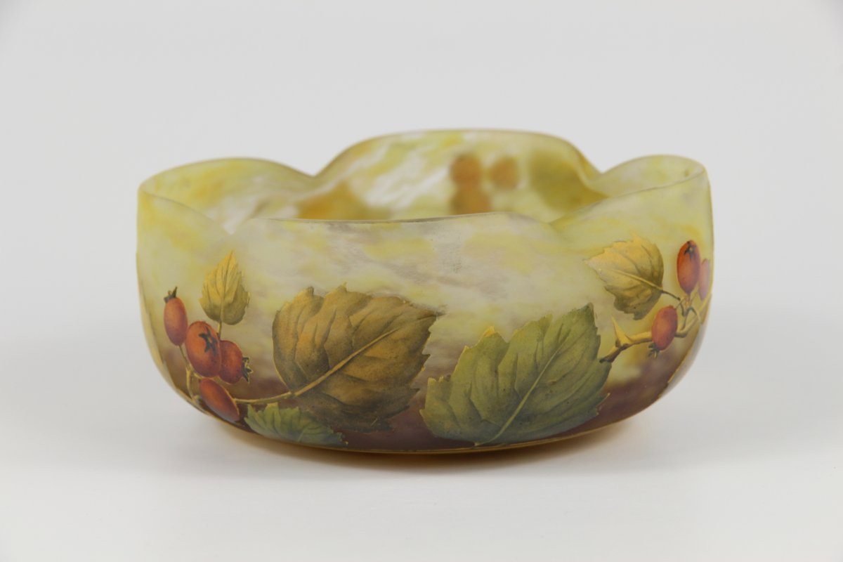 Coupe Daum Nancy (aubépine)-photo-2