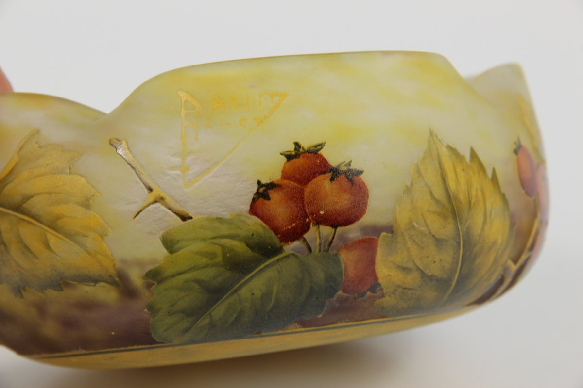 Coupe Daum Nancy (aubépine)-photo-6