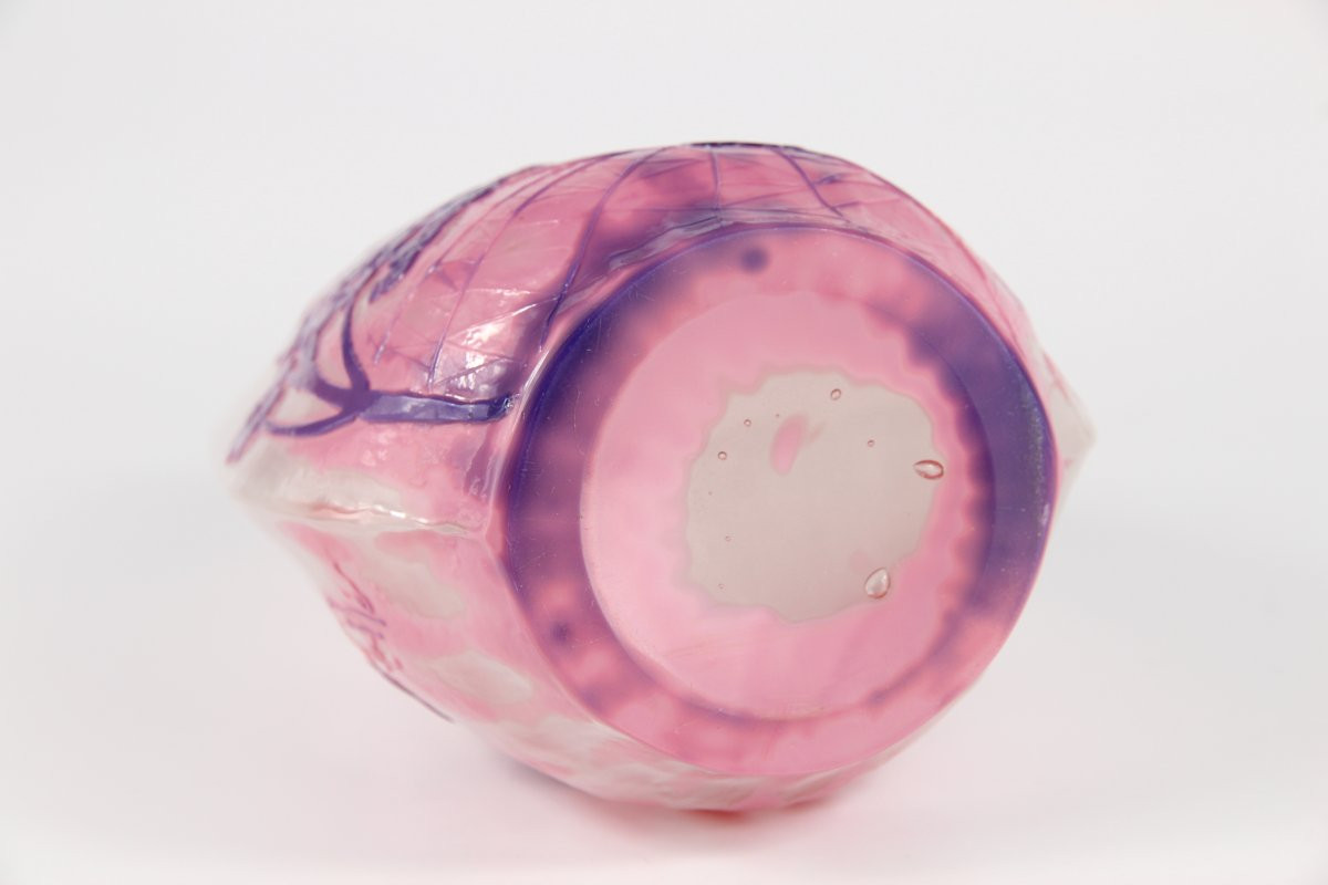 Gallé Vase (primroses And Spiderweb)-photo-8