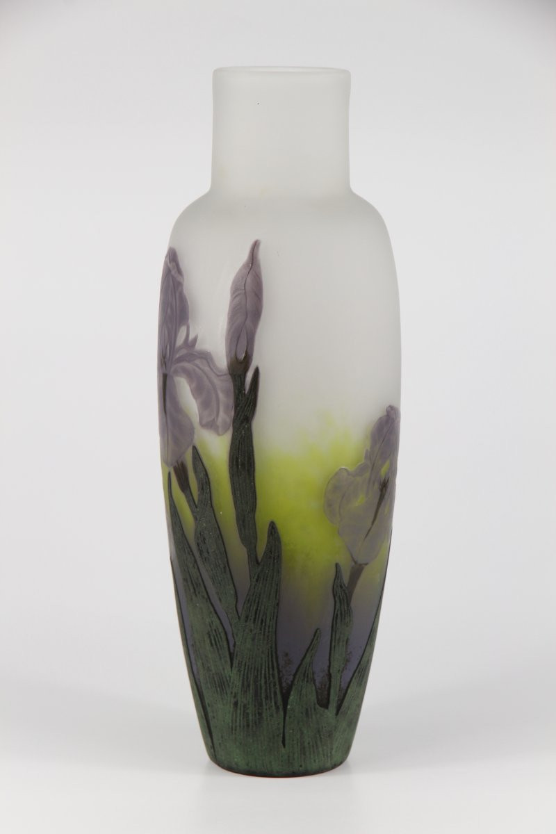 Vase Daum Nancy (Iris)-photo-1