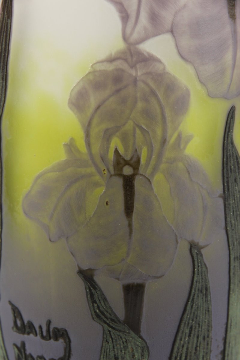 Vase Daum Nancy (Iris)-photo-6