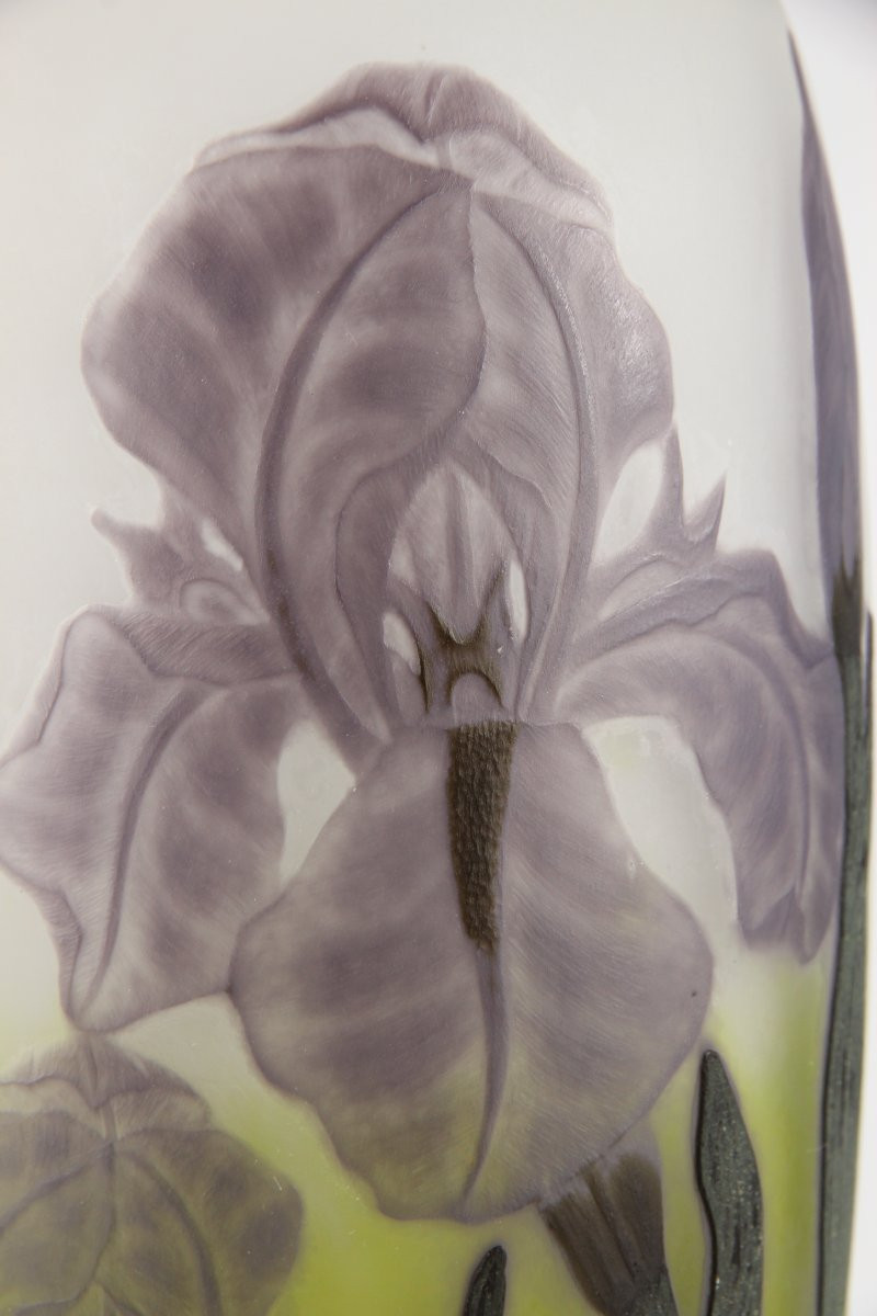 Vase Daum Nancy (Iris)-photo-7