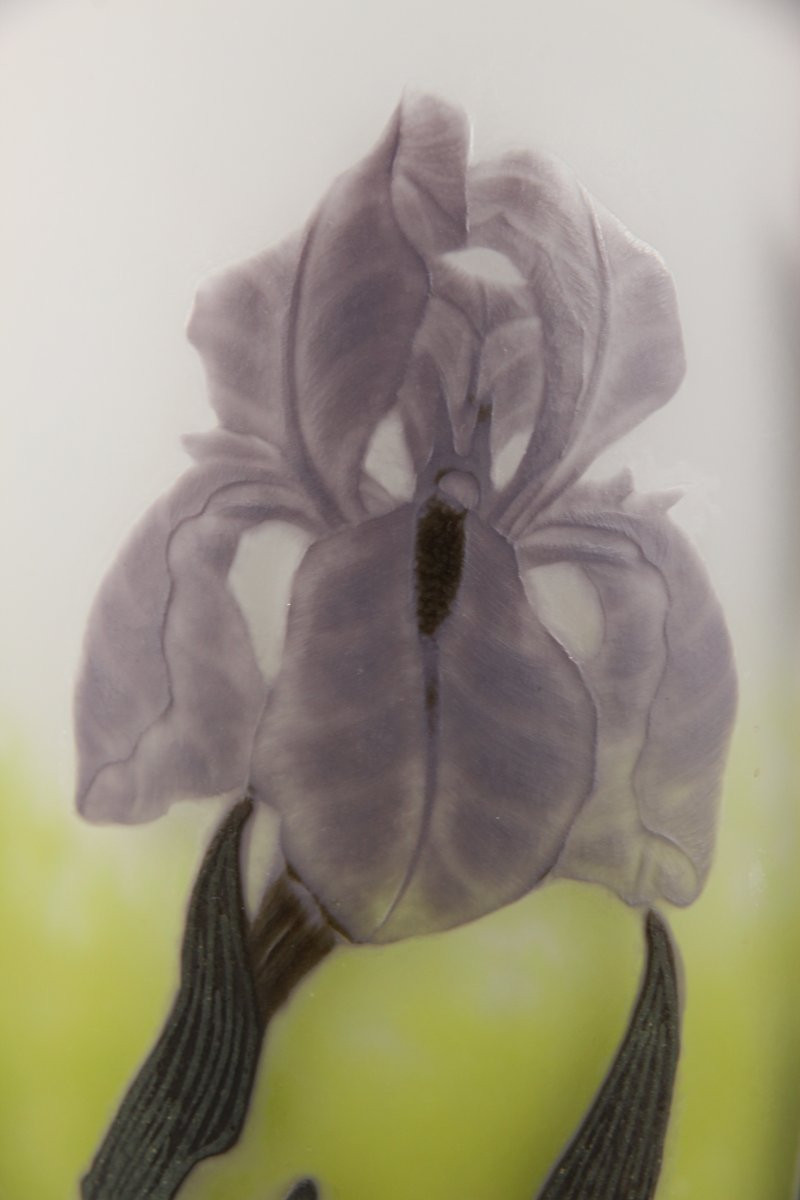 Vase Daum Nancy (Iris)-photo-8
