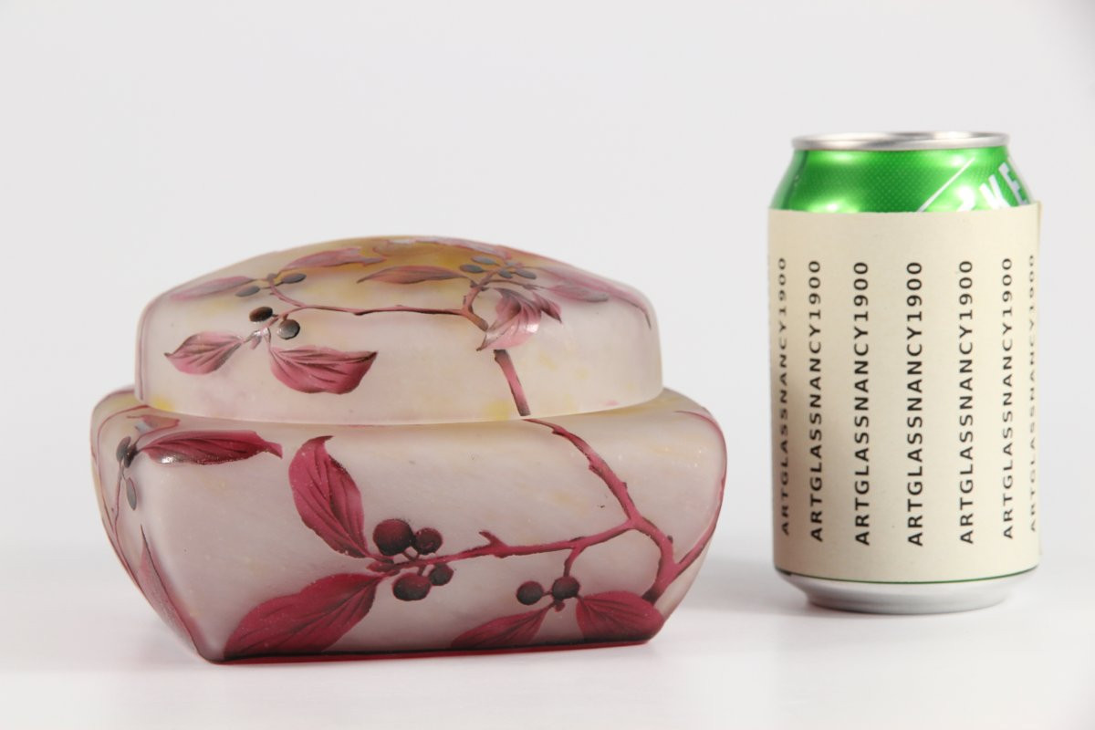 Daum Nancy Box (dogwood)-photo-4