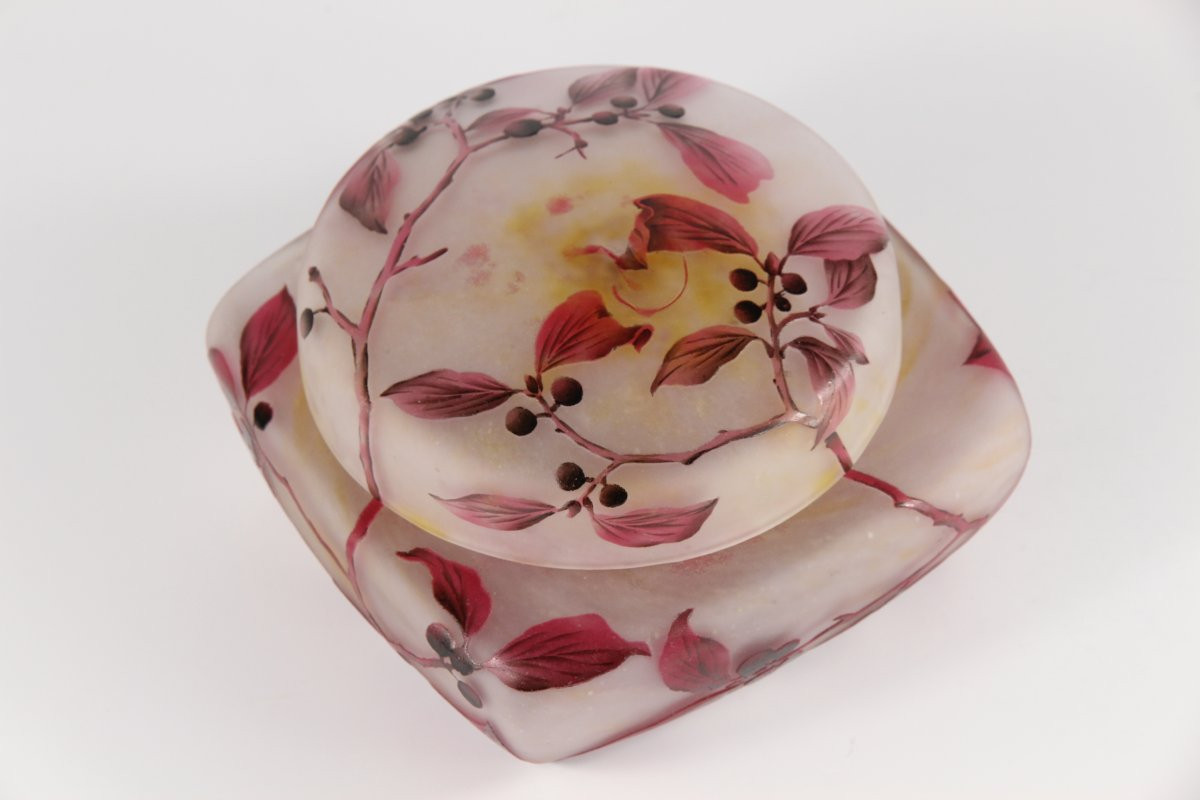 Daum Nancy Box (dogwood)-photo-1