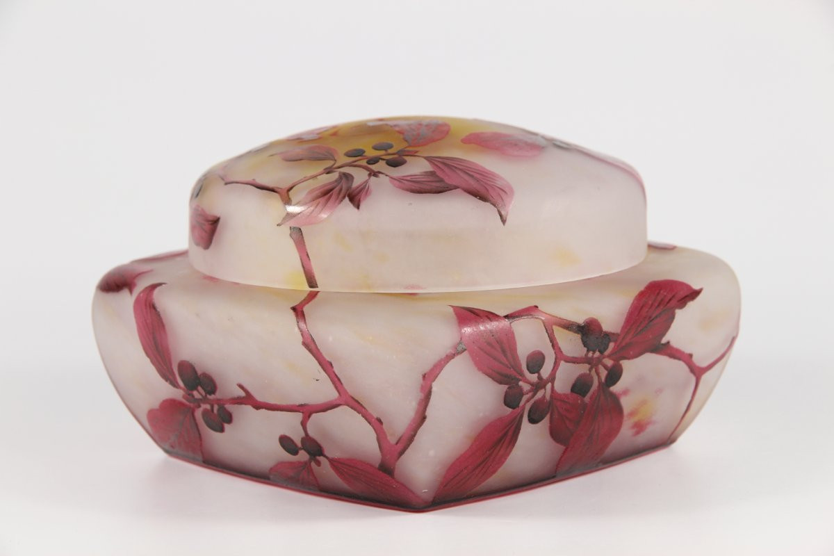 Daum Nancy Box (dogwood)-photo-2