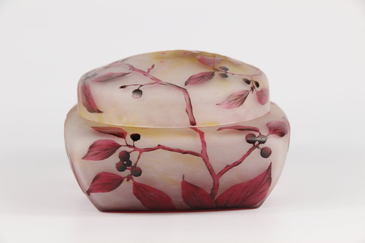 Daum Nancy Box (dogwood)-photo-4