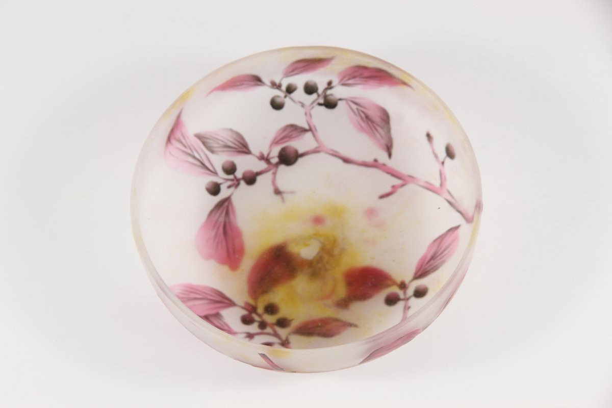 Daum Nancy Box (dogwood)-photo-8