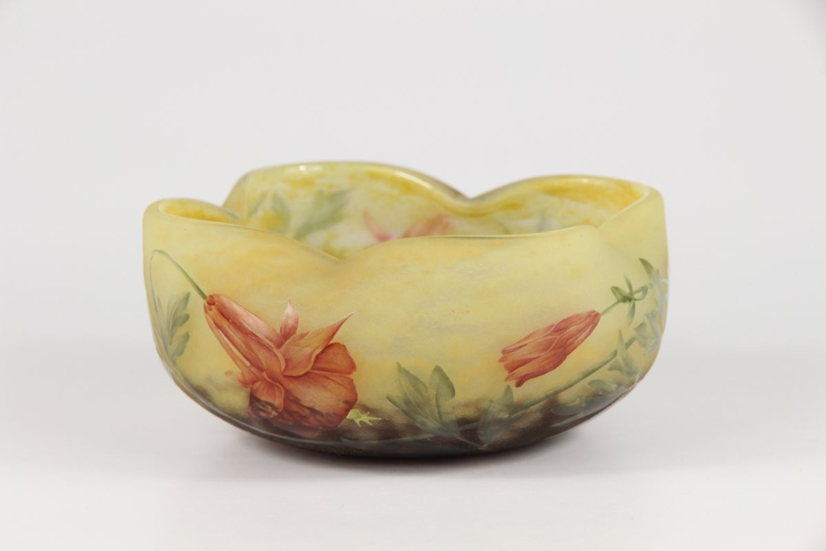 Daum Nancy Bowl (columbines)-photo-1