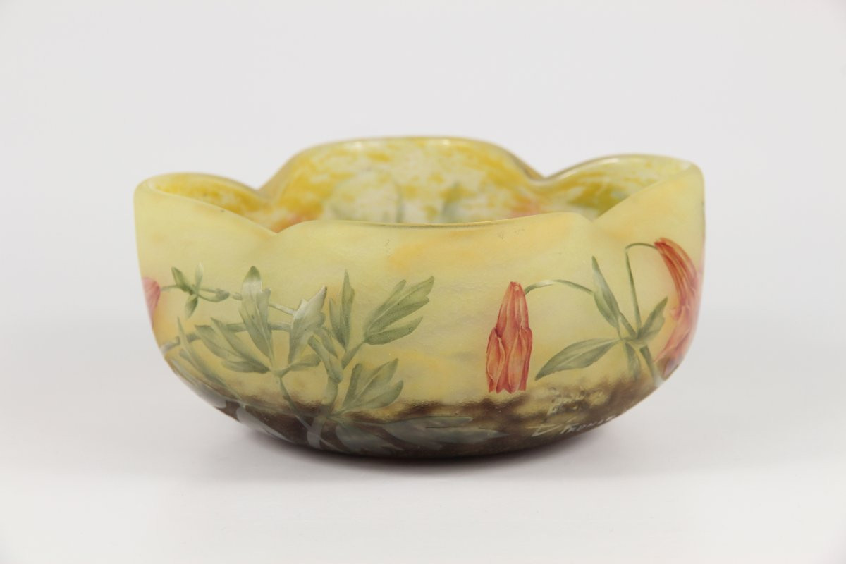 Daum Nancy Bowl (columbines)-photo-2