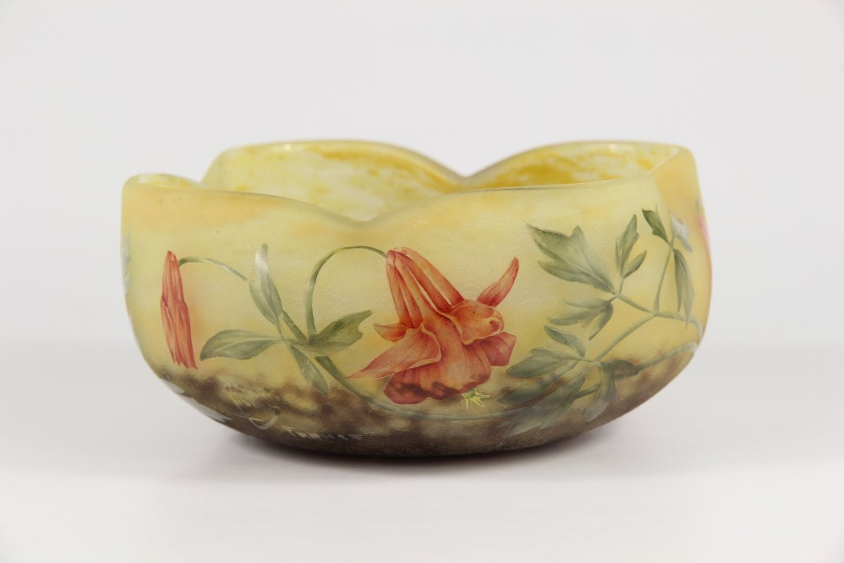 Daum Nancy Bowl (columbines)-photo-5