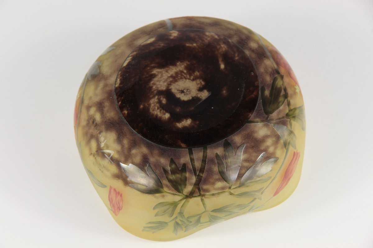 Daum Nancy Bowl (columbines)-photo-6