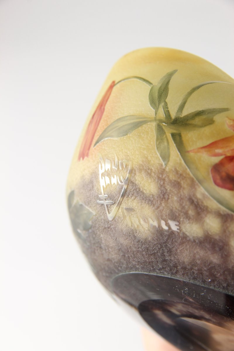 Daum Nancy Bowl (columbines)-photo-7