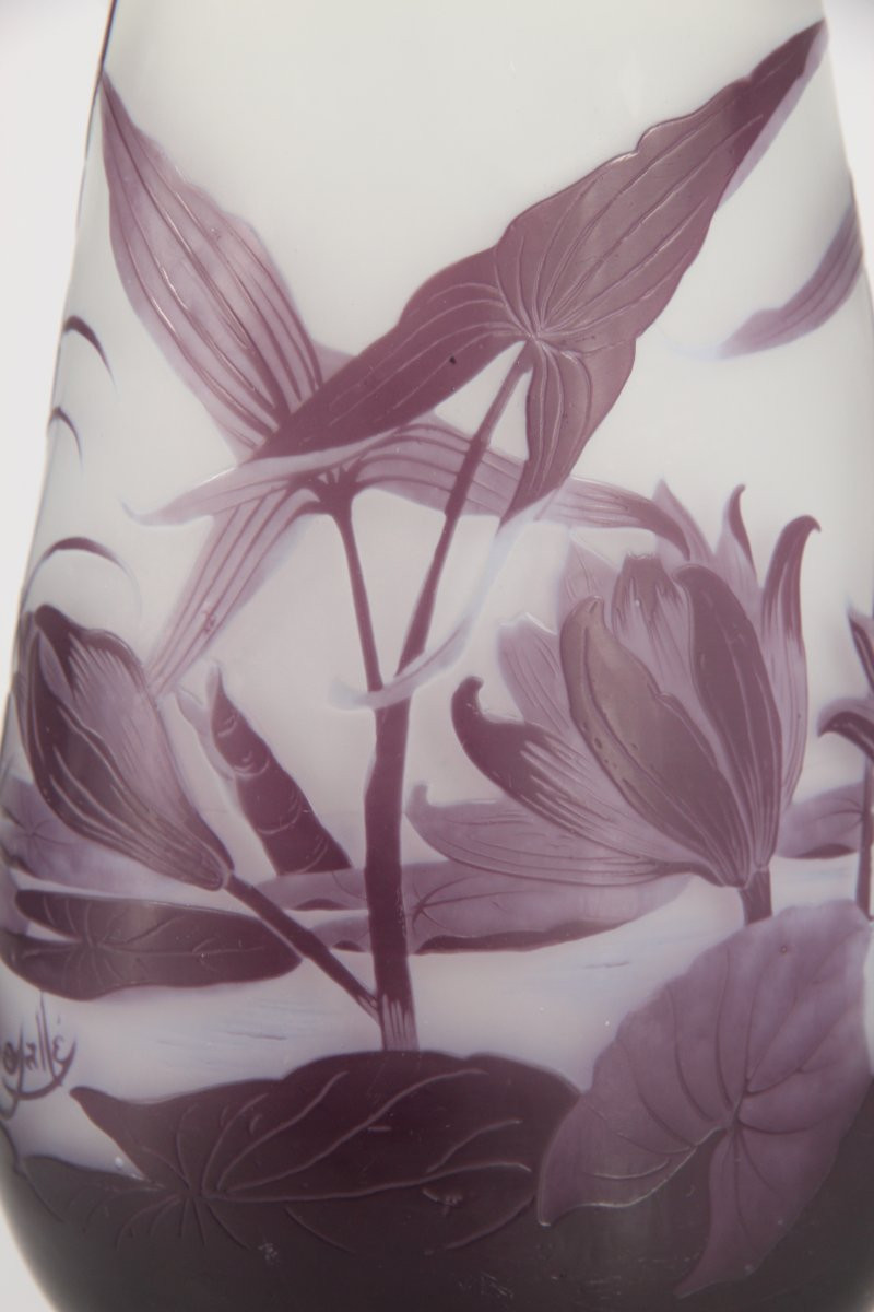 Gallé Vase (water Lilies And Arrowheads)-photo-7
