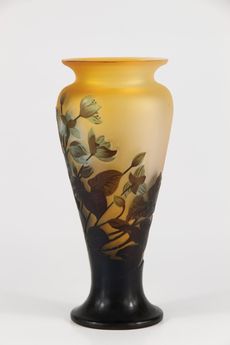 Vase Gallé (Hépathiques)-photo-1