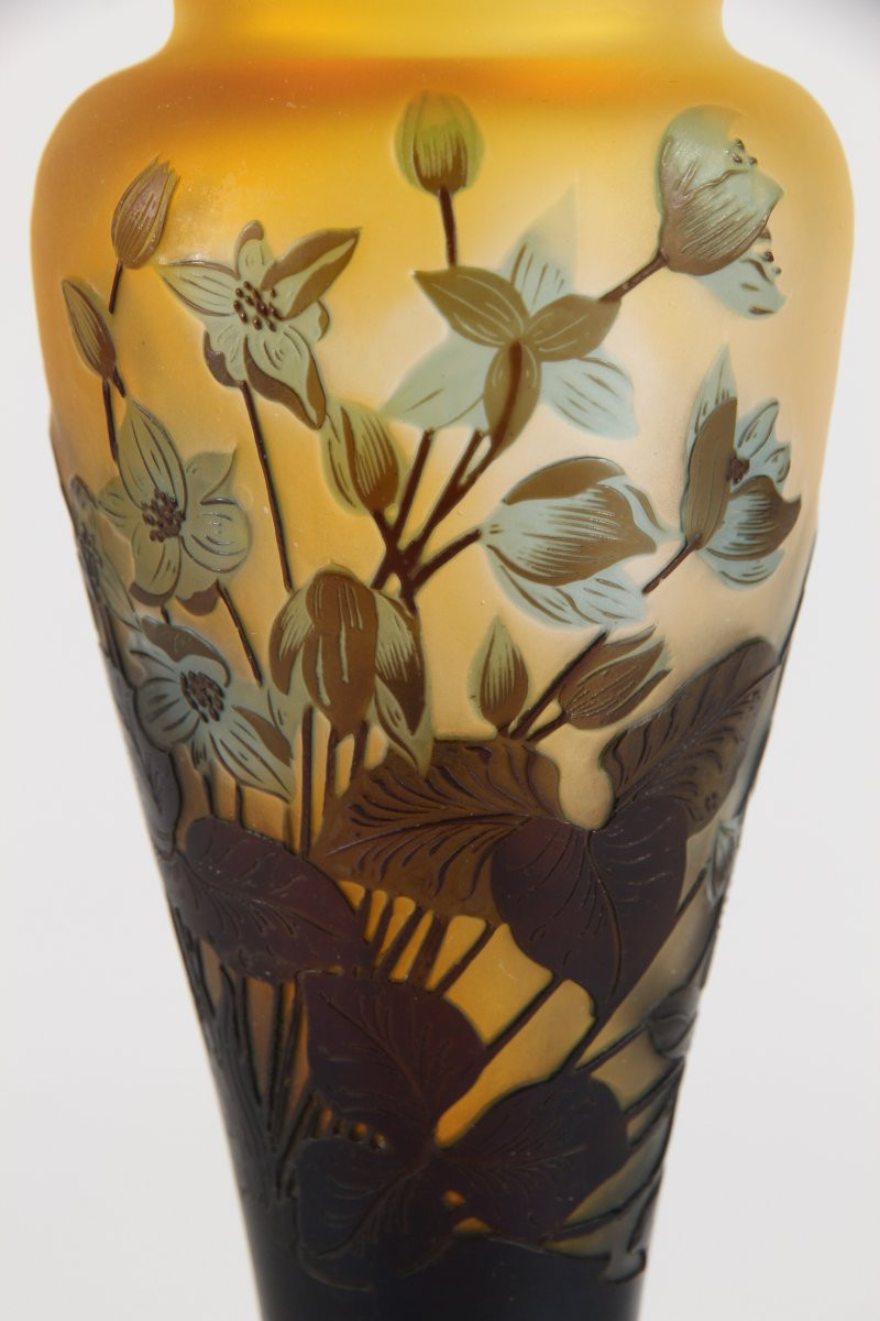 Vase Gallé (Hépathiques)-photo-4