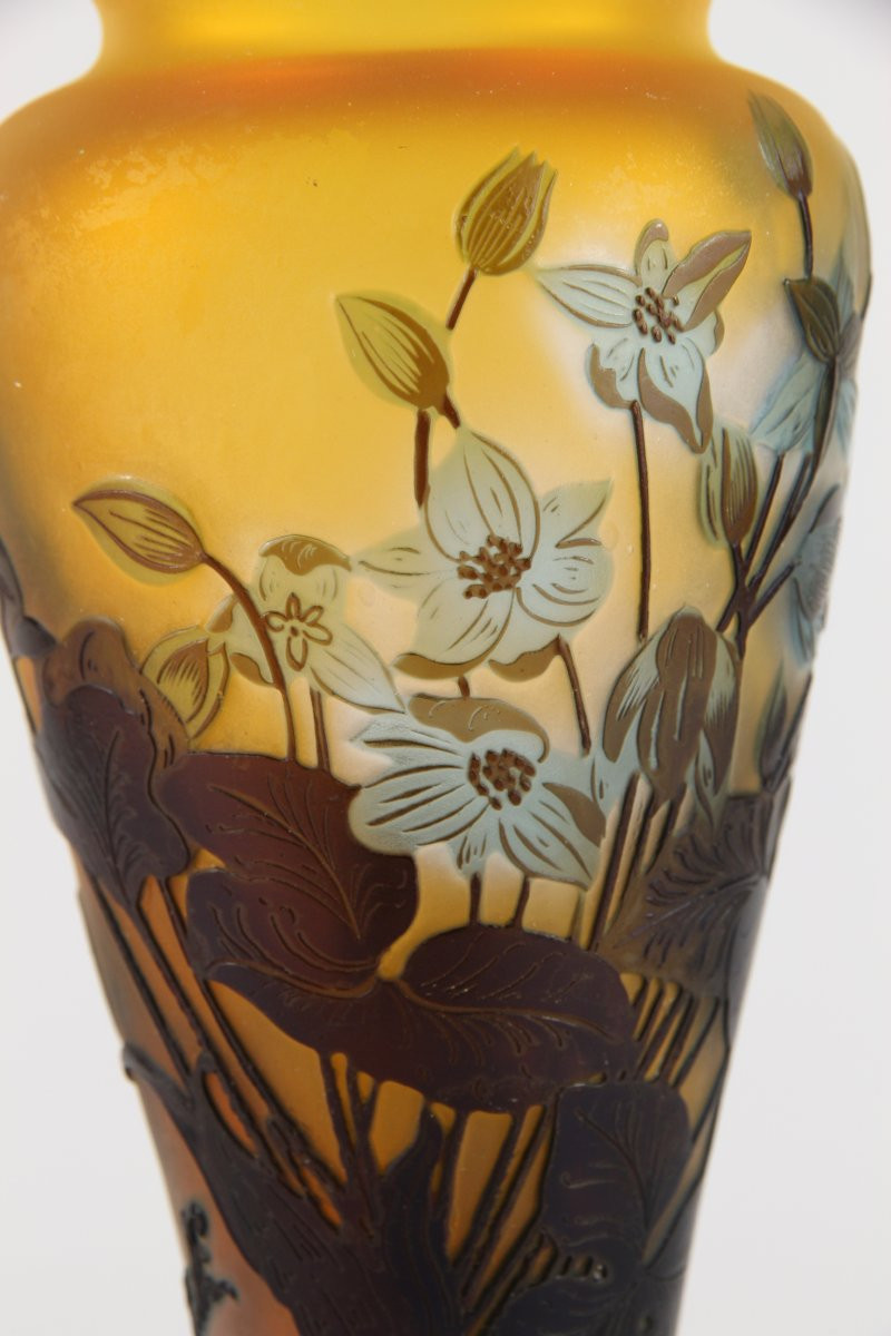 Vase Gallé (Hépathiques)-photo-5