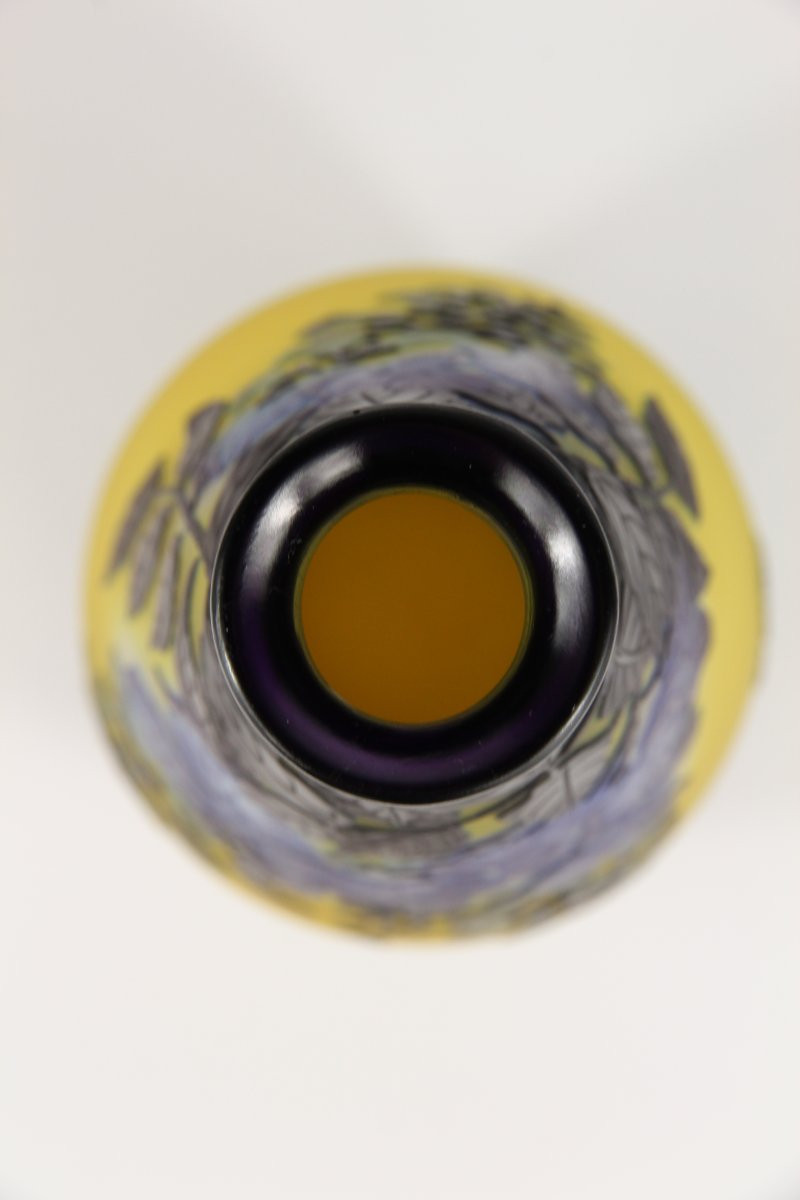 Vase Gallé (glycines)-photo-5