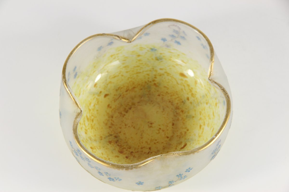 Coupe Daum Nancy (Myosotis)-photo-3