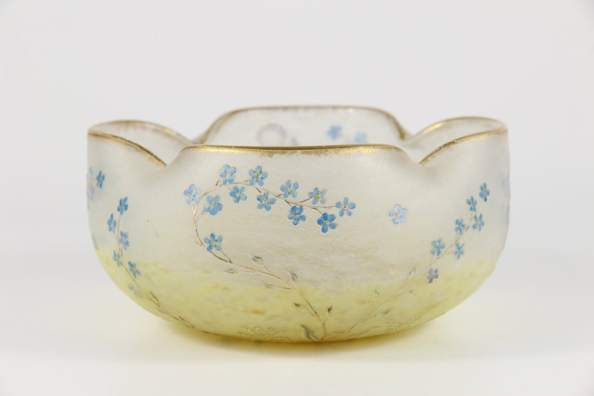 Coupe Daum Nancy (Myosotis)-photo-3