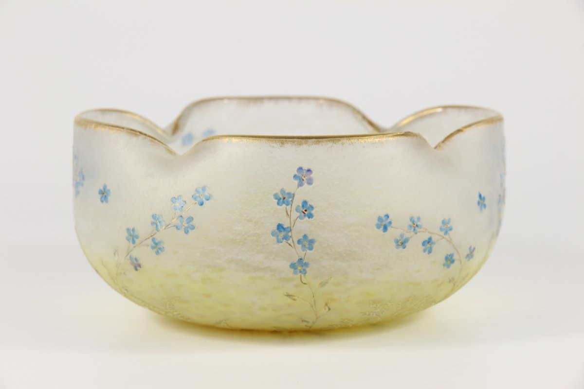 Coupe Daum Nancy (Myosotis)-photo-4