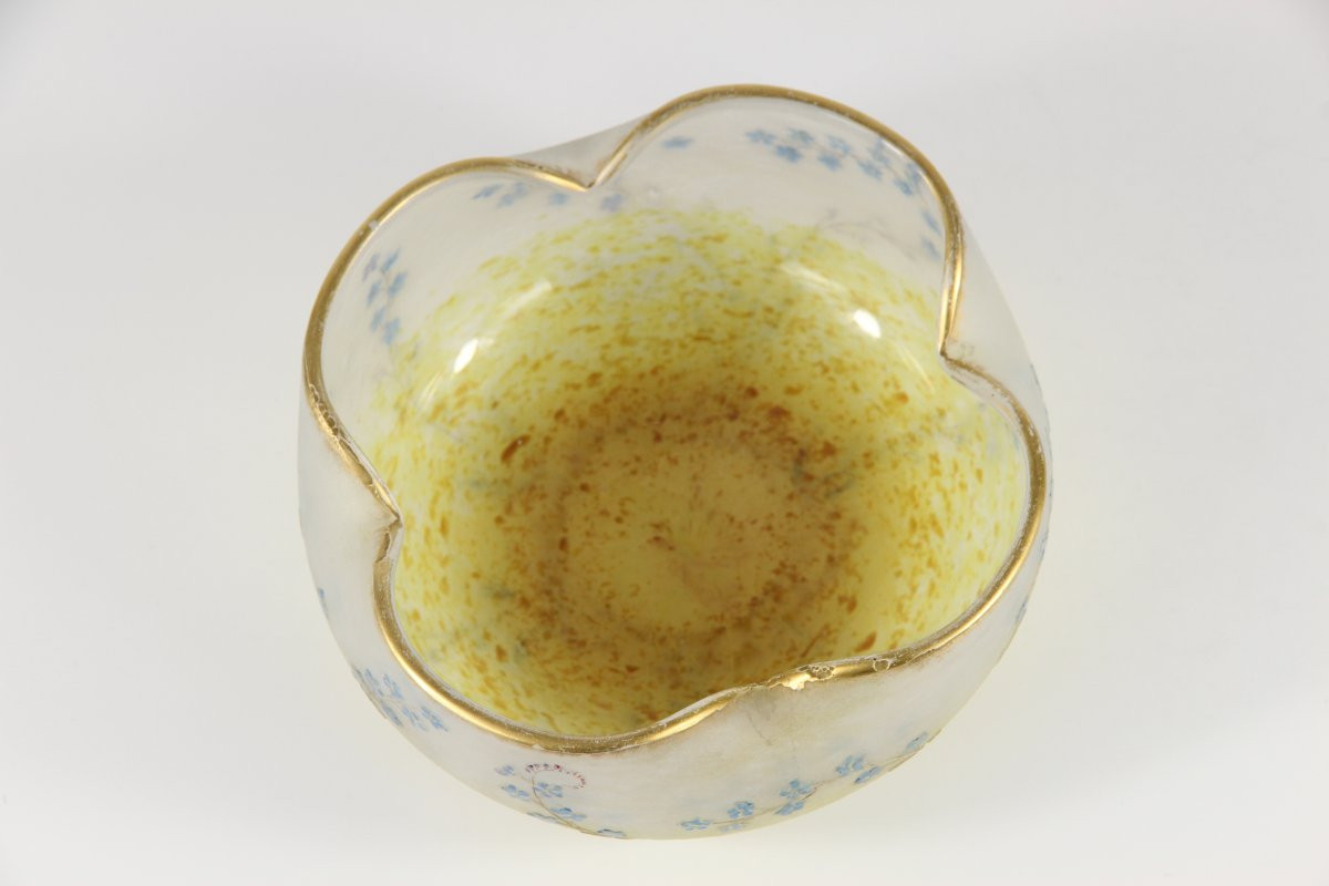 Coupe Daum Nancy (Myosotis)-photo-6