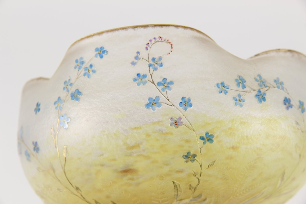 Coupe Daum Nancy (Myosotis)-photo-8