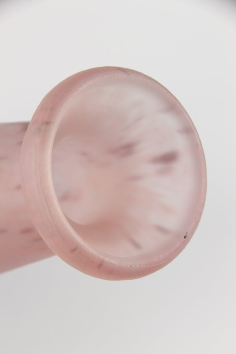 Vase Daum Nancy (Primevères gravées)-photo-7