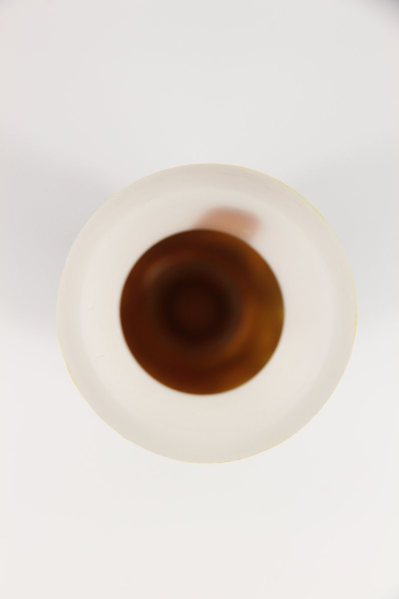 Vase Daum Nancy (Magnolia)-photo-5