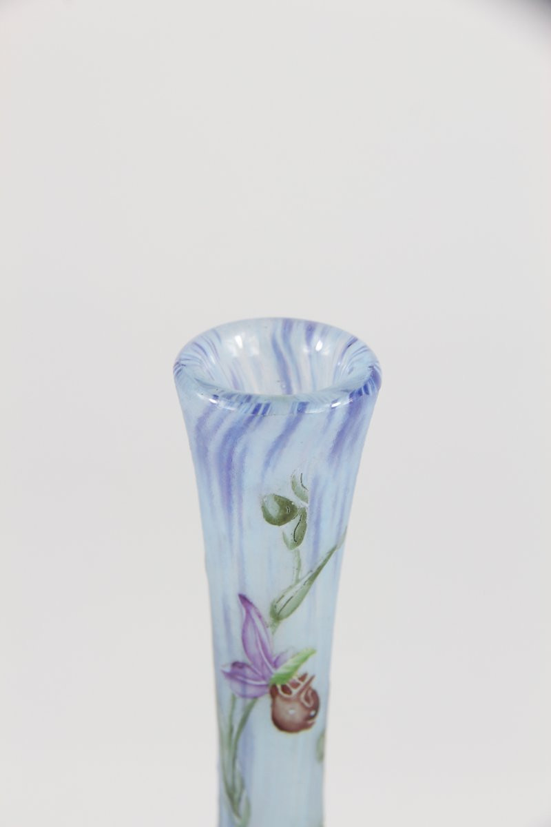 Daum Nancy Vase (ophrys And Spider Webs)-photo-5