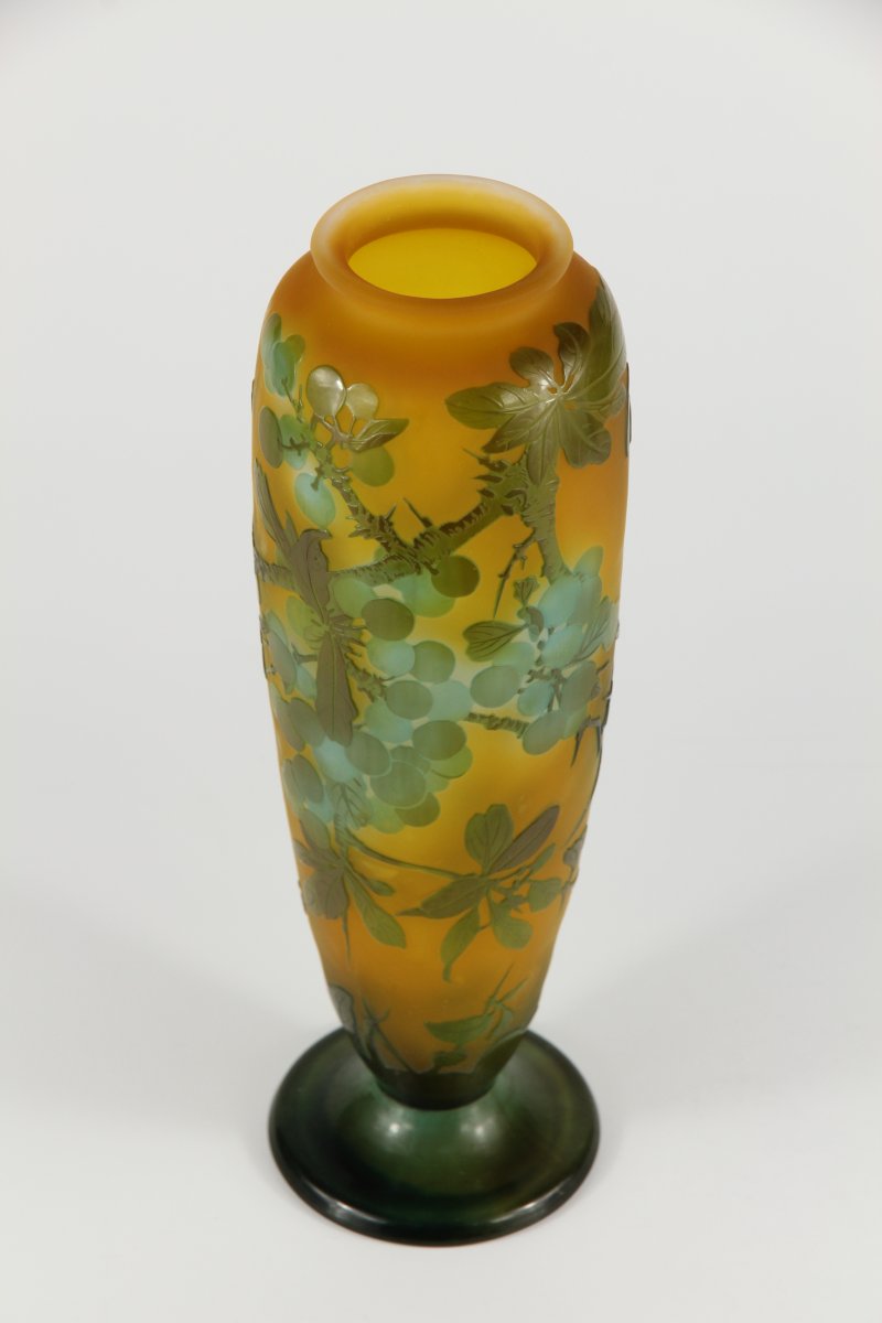Vase Gallé (Prunellier)-photo-1
