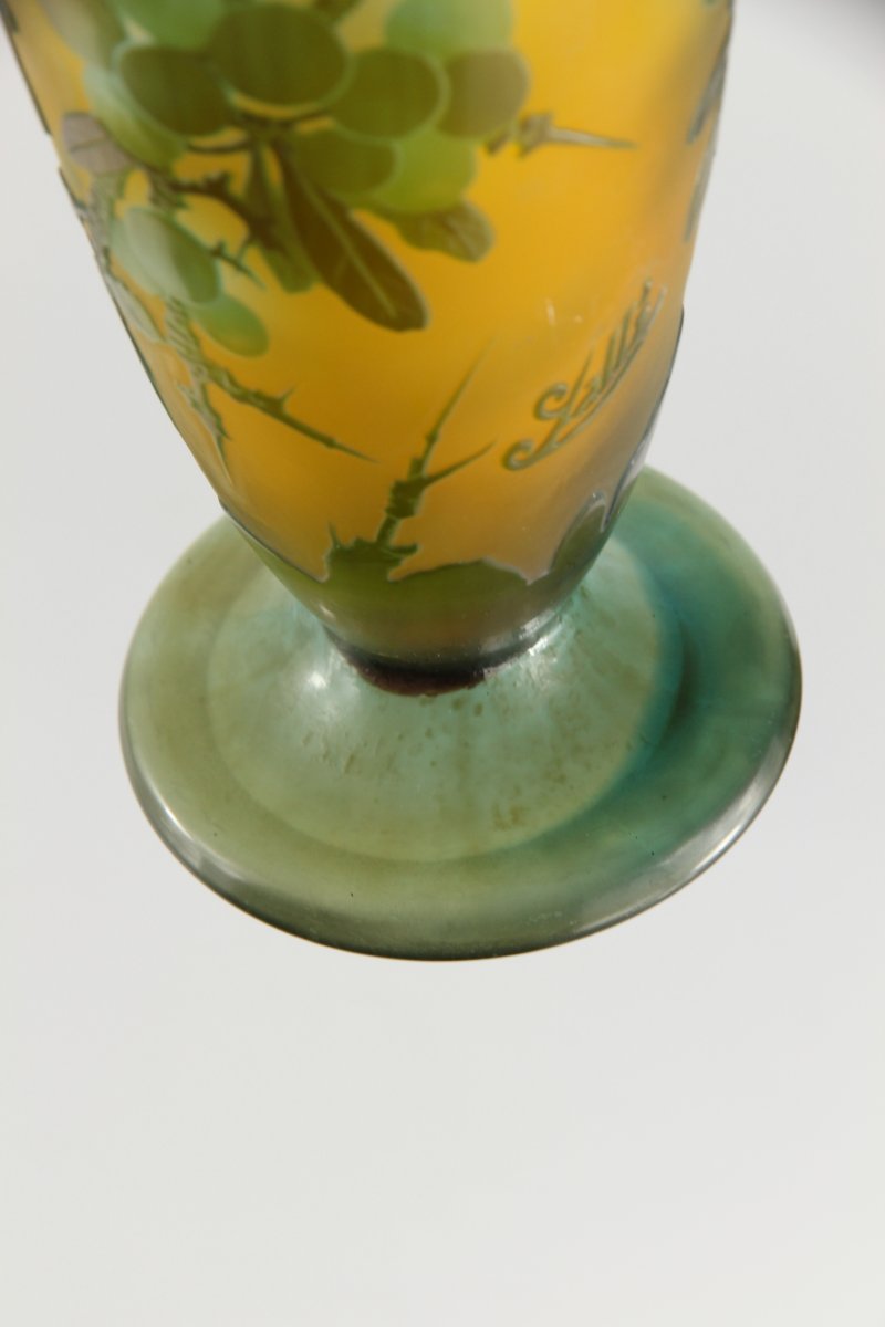 Vase Gallé (Prunellier)-photo-8
