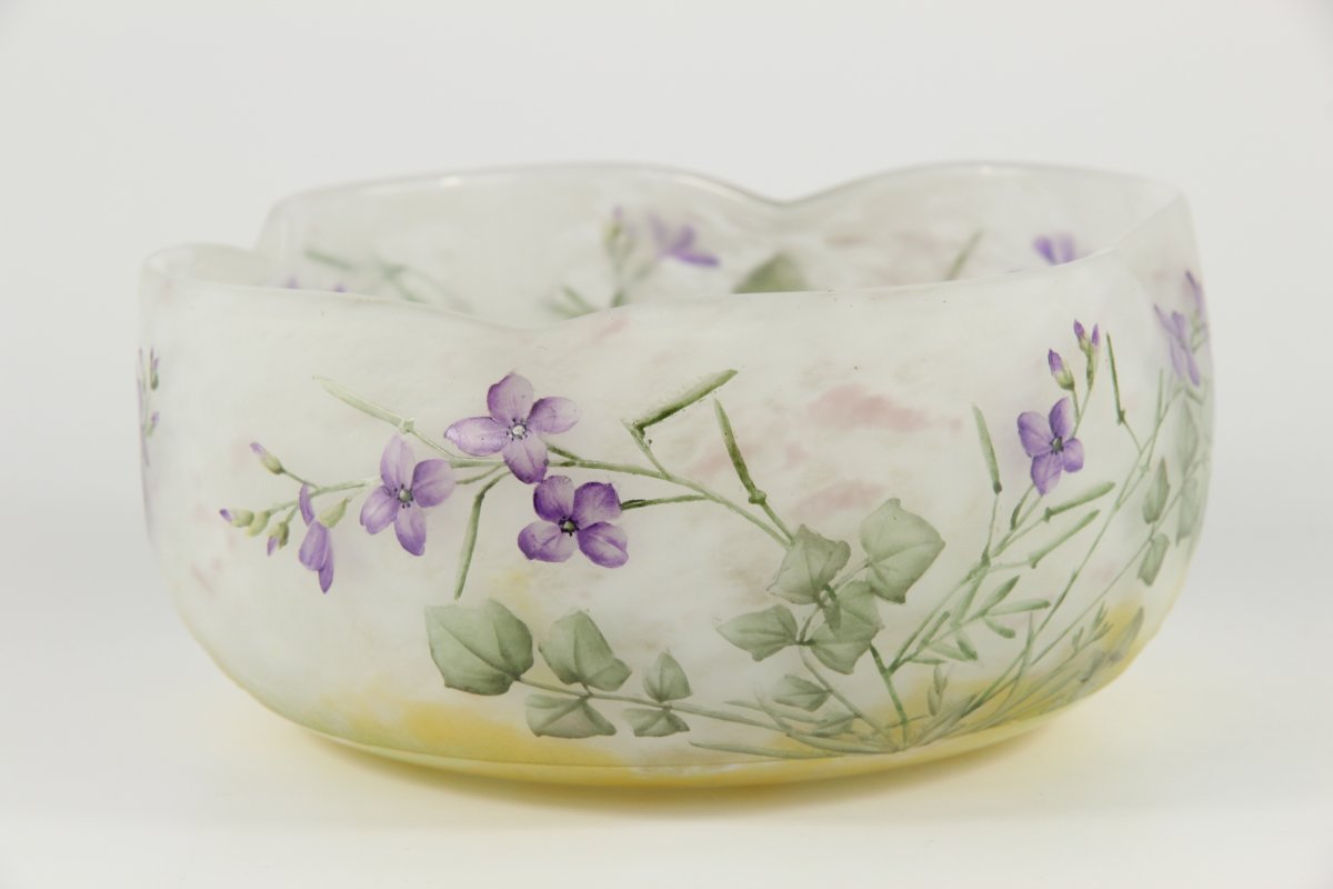 Daum Nancy Bowl (meadowfoam)-photo-1